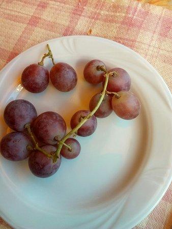 Trattoria a Modo Mio