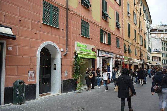 Gelateria Artigianale Titilla Papilla