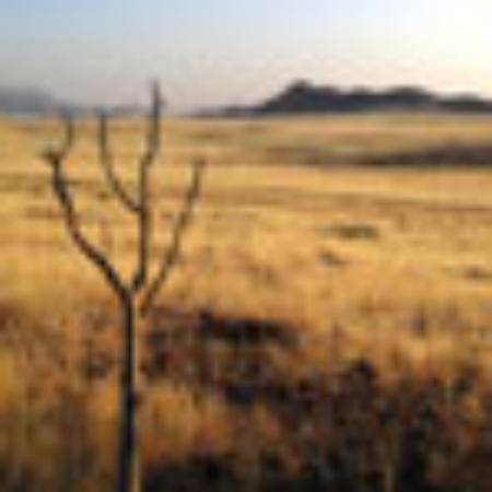 Ristorante Pizzeria Angelo