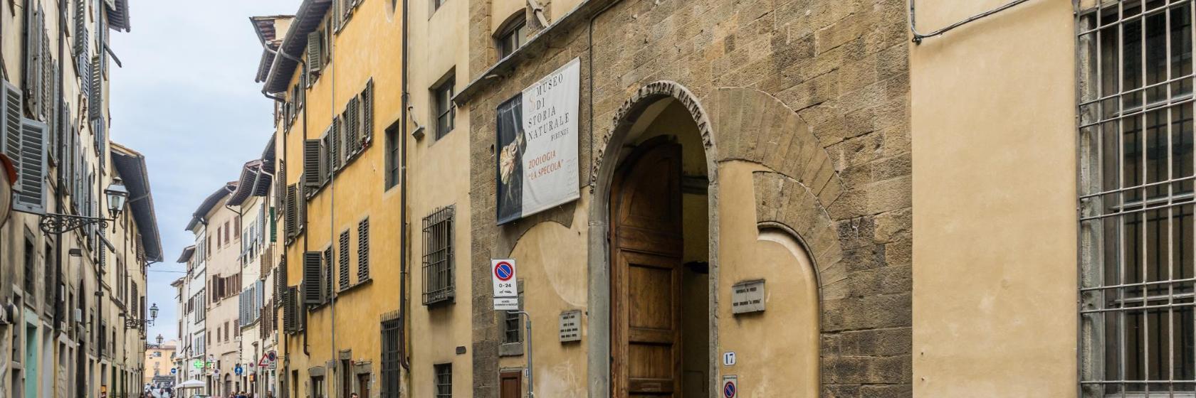 Museo di Storia Naturale