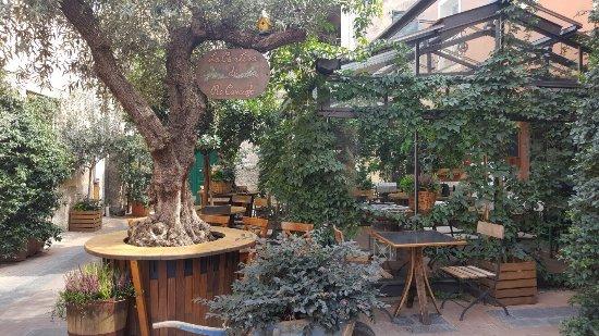 La cantina di Re Carciofo