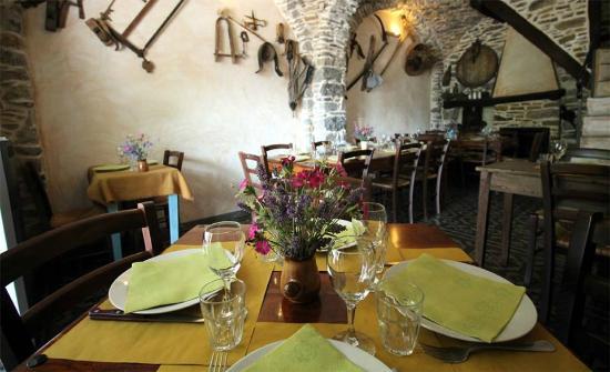 Agriturismo La Fontana dell'Olmo