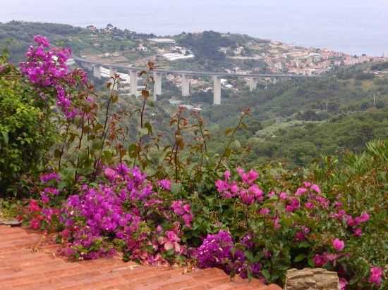 Centro Storico Lingueglietta