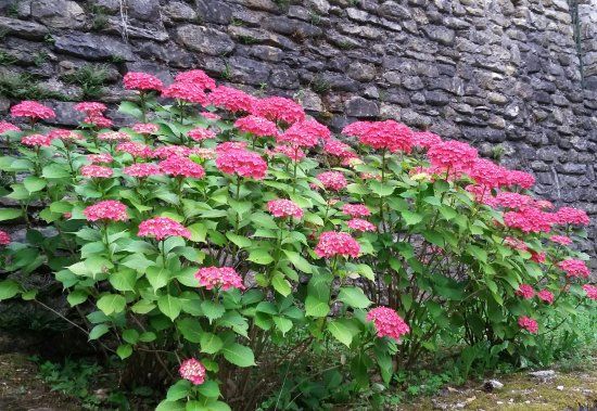 Museo della Castagna